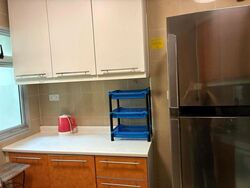 Blk 195B The Periwinkle (Punggol), HDB 4 Rooms #639883541